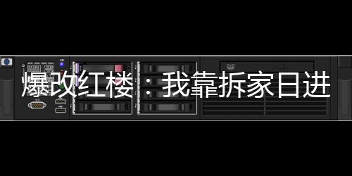 爆改红楼：我靠拆家日进斗金