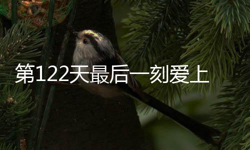 第122天最后一刻爱上你
