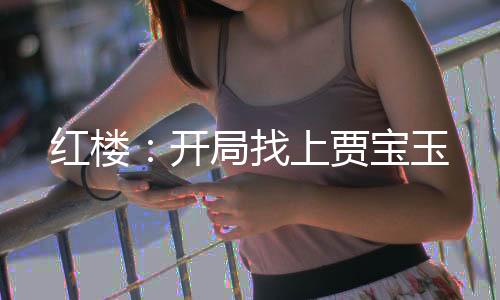 红楼：开局找上贾宝玉
