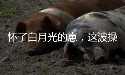 《穿书年代小可怜，奋斗逆袭不炮灰》全文在线阅读