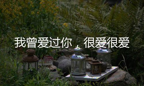 《重生年代，福气包在厂区吃瓜看戏》全文在线阅读