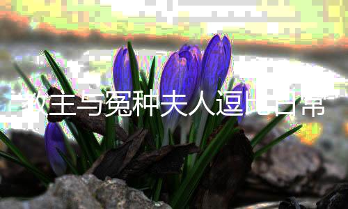 《快穿世界吃瓜第一线》全文在线阅读