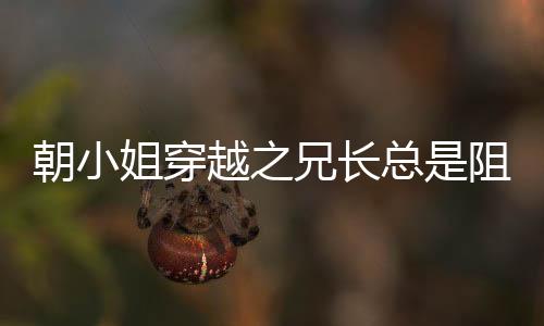 《入夜，娇软乖乖被京圈大佬吻哭了》全文在线阅读