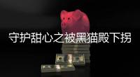 守护甜心之被黑猫