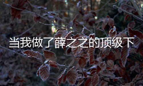 当我做了薛之之的顶级下属