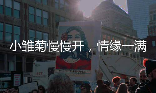 《夫人她马甲又轰动全城了》全文在线阅读