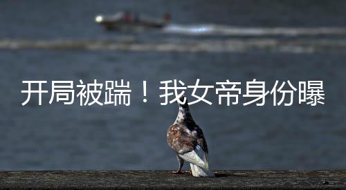 《夫人每天都在线打脸》全文在线阅读