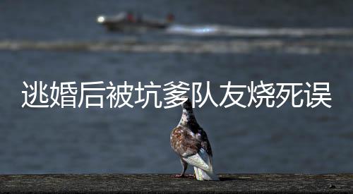 《回到九零，她在外科大佬圈火爆了》全文在线阅读