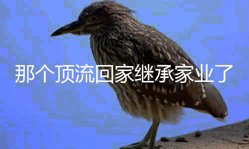 那个顶流回家继承家业了