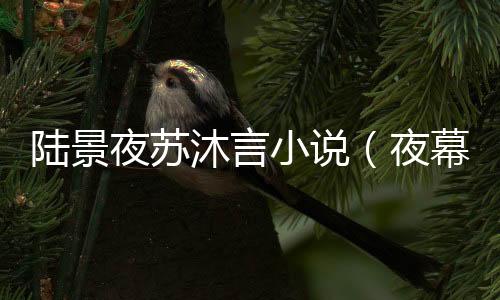 《回到九零，她在外科大佬圈火爆了》全文在线阅读