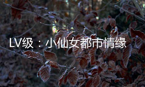 LV级：小仙女都市情缘狂想曲