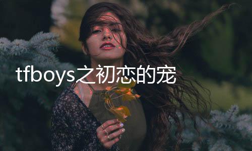 《宋檀记事》全文在线阅读